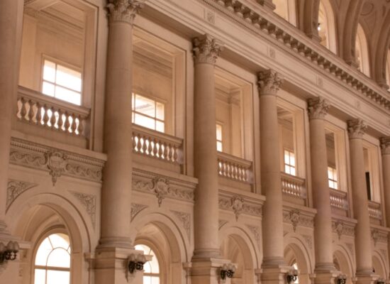 Calderon Vezzaro Constitucionalidad